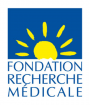 Logo FRM 2