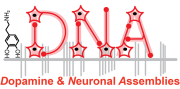 LogoDNA_sh