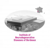institute of neurodegenerative diseases