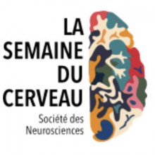 logo_semaine_cerveau