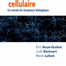 la-communication-cellulaire-un-monde-de-recepteurs-biologiques