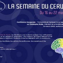 semaine du cerveau