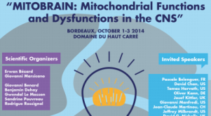 MitoBrain_10.2014