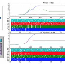 Alexandre Mémory Neuronal circuitry Behavioral loops Mnemonic synergy Modeling Autonomous robotics