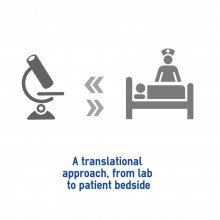 translational approach imn