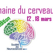 semaine du cerveau2018