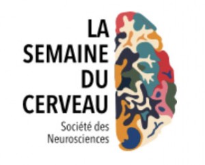 logo_semaine_cerveau