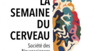 logo_semaine_cerveau