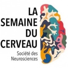 logo-semaineducerveau-360x323