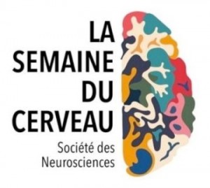 logo-semaineducerveau-360x323